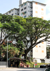 Blk 171 Stirling View (Queenstown), HDB 3 Rooms #579382101